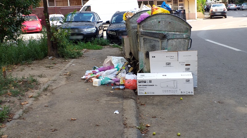 Calitatea aerului, gunoaiele din municipiu, spălarea străzilor și a trotuarelor, câteva „subiecte fierbinți” în ultima ședință a CLM&nbsp;Brăila