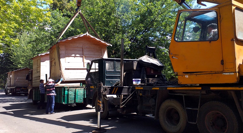 casute, amplasare, faleza dunarii