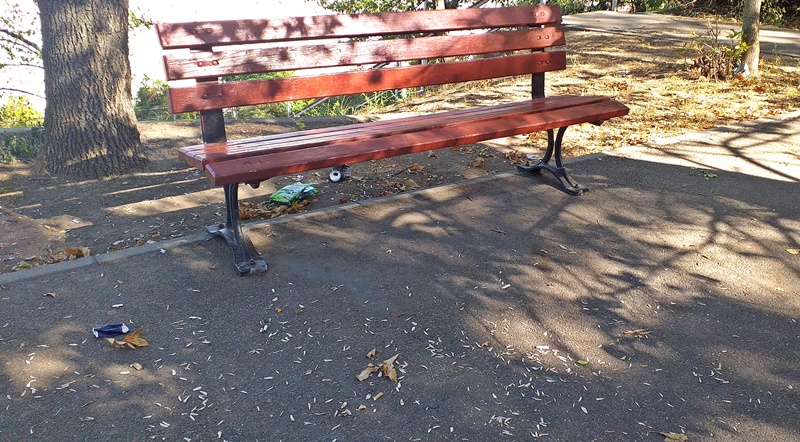 Nepăstrarea curățeniei Municipiului Brăila, sancționată de polițiștii&nbsp;locali