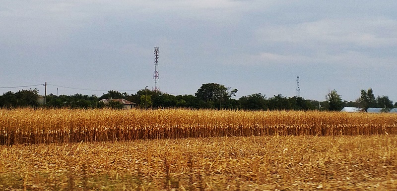 Atenție fermieri! 30 septembrie 2025 este ultima zi valabilă pentru semnarea Cererilor de plată, pentru Campania 2025, la&nbsp;APIA!