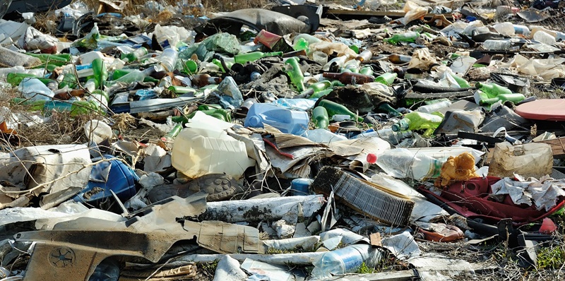 Amenzi în valoare totală de 4.600 lei pentru nepăstrarea curățeniei în Municipiul&nbsp;Brăila