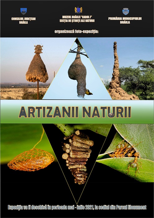 „Artizanii naturii”, foto-expoziție la Muzeul Brăilei „Carol I” – Secția Științele&nbsp;Naturii