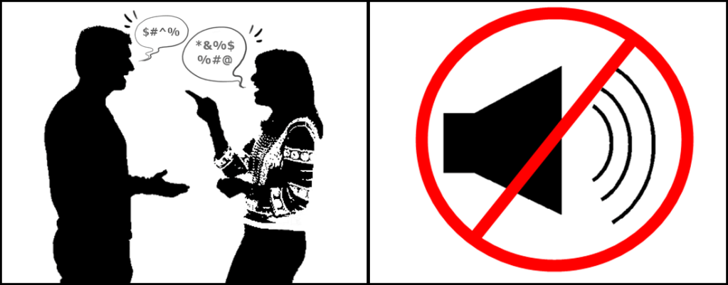 10 sancţiuni contravenţionale, în valoare de 3.800 lei, aplicate de polițiștii locali, pentru tulburarea ordinii și liniștii publice în&nbsp;Brăila