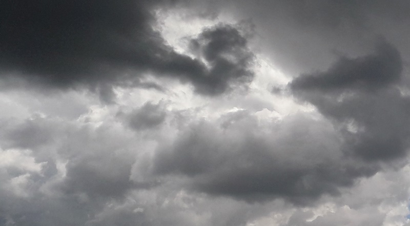 COD PORTOCALIU pentru Județele Brăila, Galați, Tulcea și&nbsp;Constanța