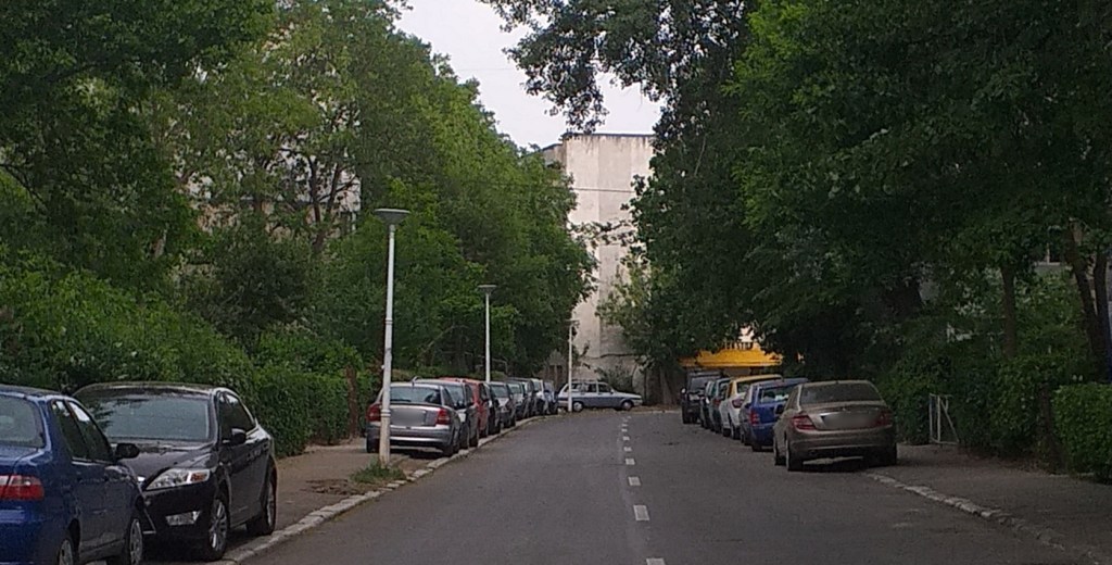 Polițiștii locali rutieri în acțiune pe străzile&nbsp;Brăilei