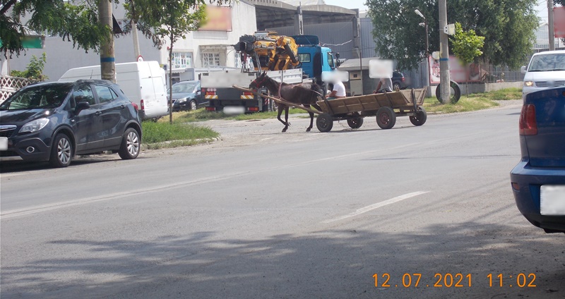 Amenzi drastice pentru brăilenii cărora nu le pasă de curățenia&nbsp;municipiului