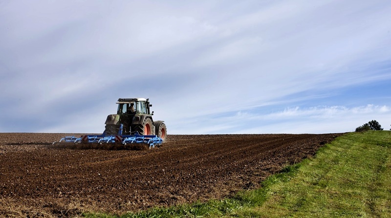 Peste 274 milioane lei au fost autorizate la plată pentru sectorul cerealelor și cel al semințelor&nbsp;oleaginoase