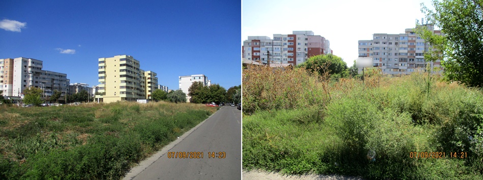 Avertismente scrise, date de polițiștii locali brăileni, pentru cei care dețin terenuri invadate de&nbsp;ambrozie