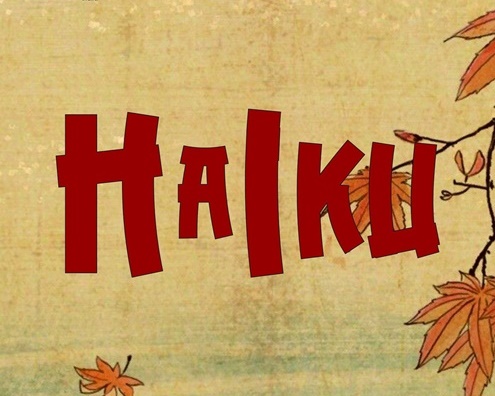 „Autori de haiku din România”, raft tematic la Biblioteca Județeană „Panait Istrati” din&nbsp;Brăila