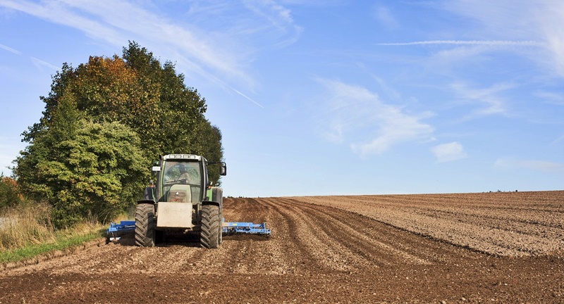 APIA a autorizat la plată în cadrul Campaniei de plăți în avans, aferentă anului 2024, un număr de 571.110&nbsp;fermieri