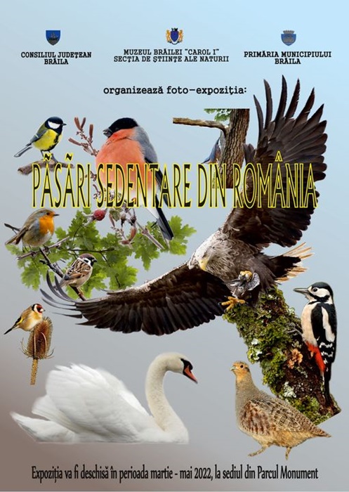 „Păsări sedentare din România”, foto-expoziție la Muzeul Brăilei „Carol I”- Secția Științele&nbsp;Naturii