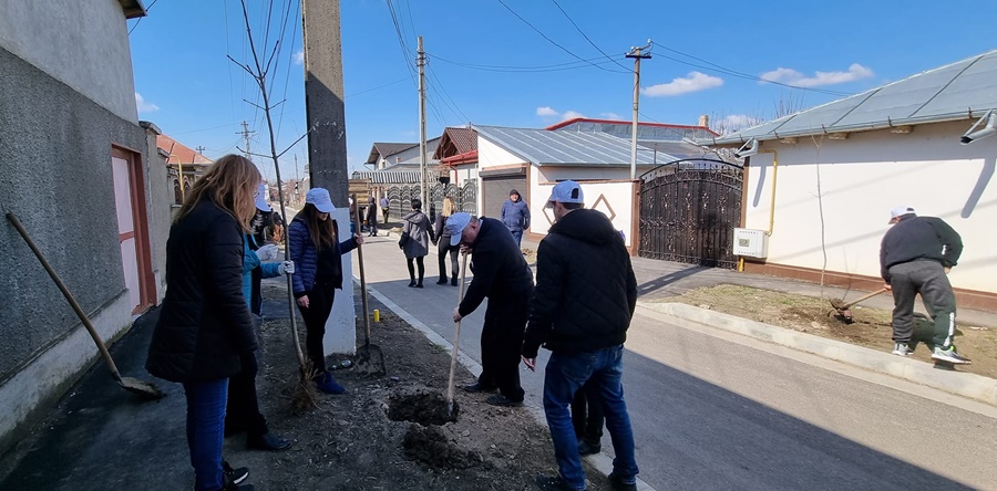 150 de copaci au fost plantați astăzi în cartierele Brăilița și&nbsp;Pisc