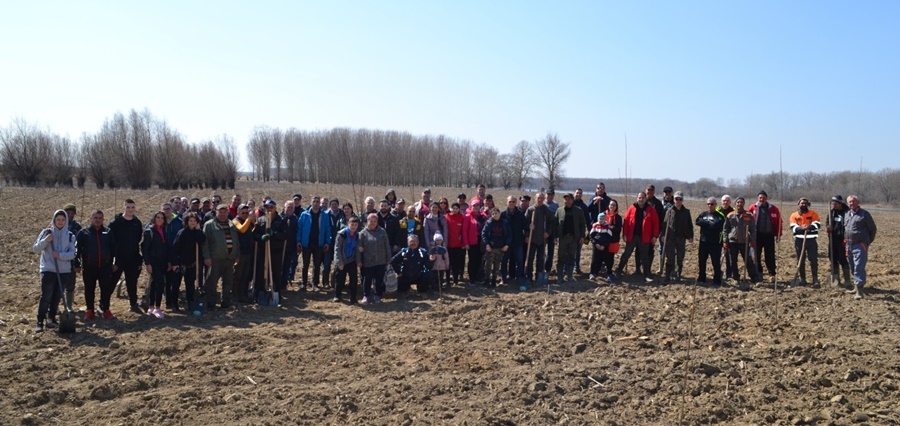 Social democrații brăileni au sărbătorit „Ziua Internațională a Pădurii” plantând peste 1.000 de&nbsp;copaci