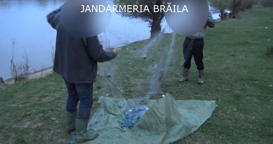 3 pescari „pescuiți” de jandarmi. 6 plase de pescuit și 17 kilograme de pește, ridicate de jandarmi brăileni numai într-o singură&nbsp;zi