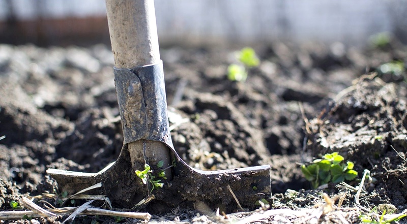 Acțiune de mediu a militarilor brăileni, dedicată eroilor români căzuți pe câmpurile de&nbsp;luptă