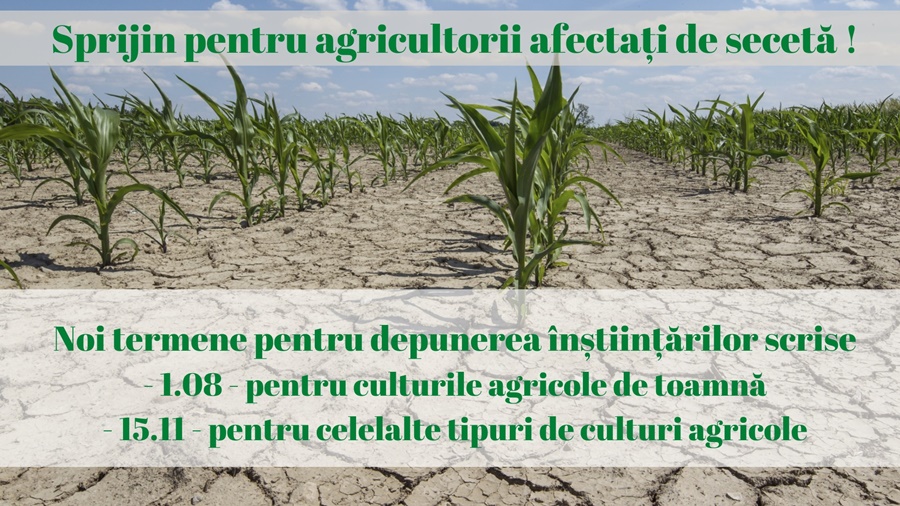 Sprijin pentru agricultorii ale căror culturi sunt afectate de secetă&nbsp;severă