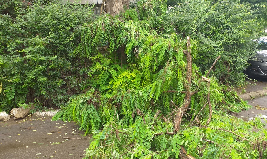 Furtuna de duminică a făcut ravagii la Brăila | Pompierii brăileni au intervenit în forță la îndepărtarea efectelor&nbsp;vijeliei