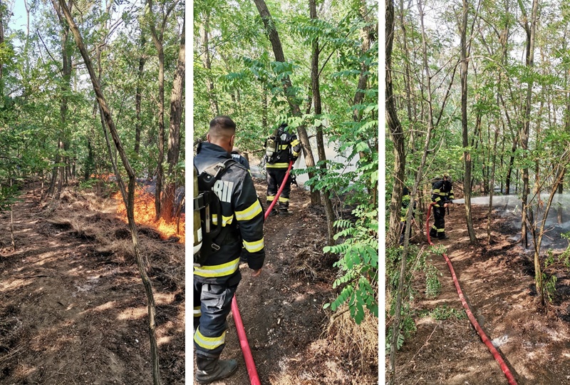 VIDEO | Zi de foc pentru pompierii brăileni! Incendii după incendii in municipiu și județ | Lichidarea unui incendiu extins pe cca. 80 ha de vegetație uscată și cca. 20 ha de&nbsp;miriște