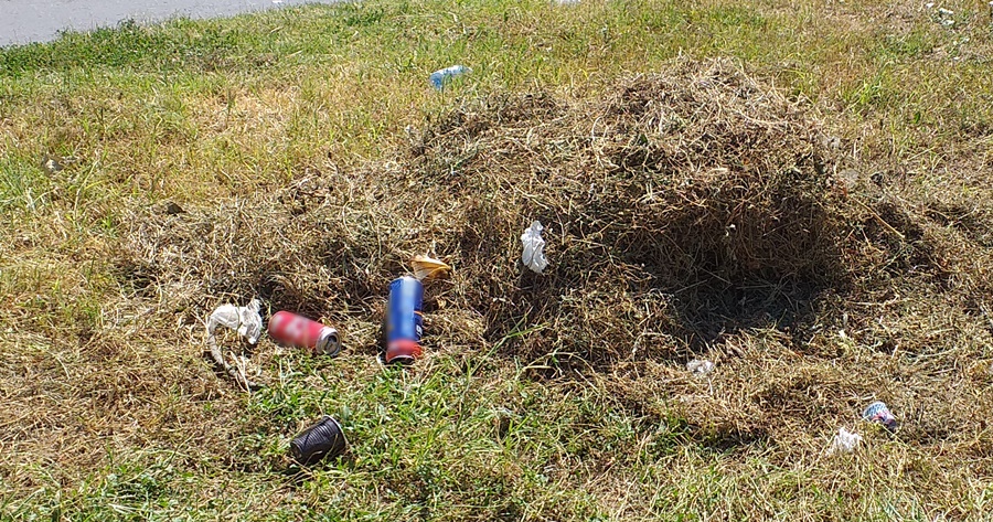 Amenzi în valoare de 14.000 lei pentru 16 brăileni care nu au respectat legea privind circulația cu mopede pe trotuare, aruncarea gunoaielor la întâmplare, accesul autovehiculelor în zone&nbsp;nepermise