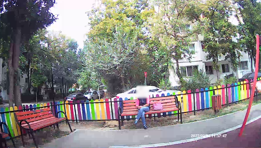 Coji de semințe, gunoaie aruncate pe domeniul public, mizerie și nepăsare sancționate aspru de polițiștii locali&nbsp;brăileni