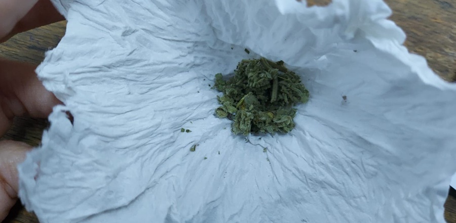 Tineri depistați cu substanțe vegetale asupra lor | „Sunt pentru consum&nbsp;propriu”