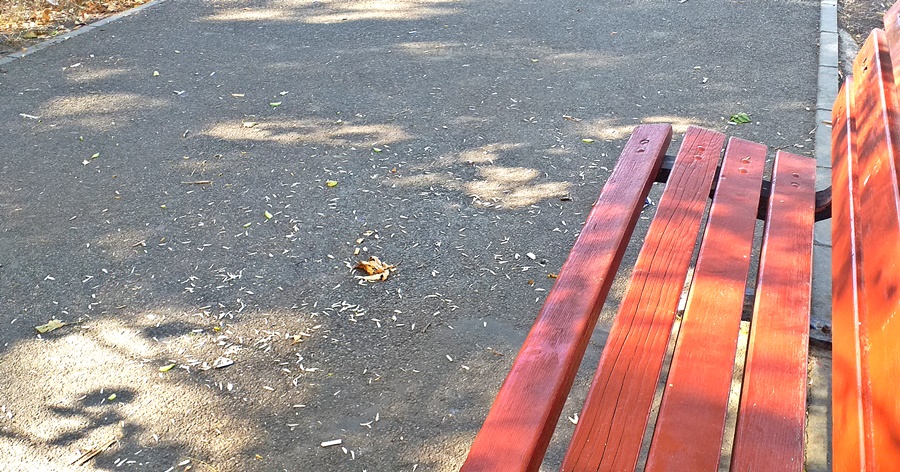 Gunoaie, coji de semințe aruncate pe domeniul public, spălatul mașinii sau fumatul în loc nepermis sunt doar câteva dintre faptele sancționate de polițiștii&nbsp;locali