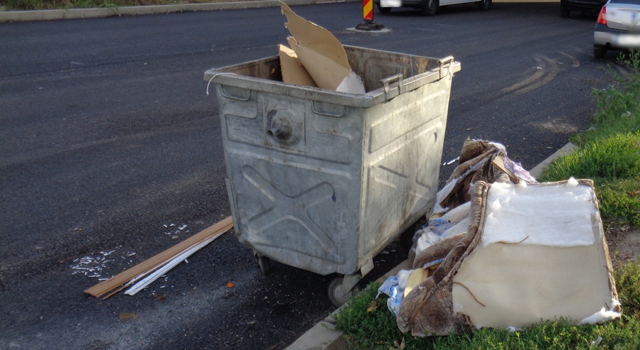 Amenzi în valoare de 18.500 lei, pentru 19 persoane cărora nu le-a păsat de curățenia&nbsp;municipiului