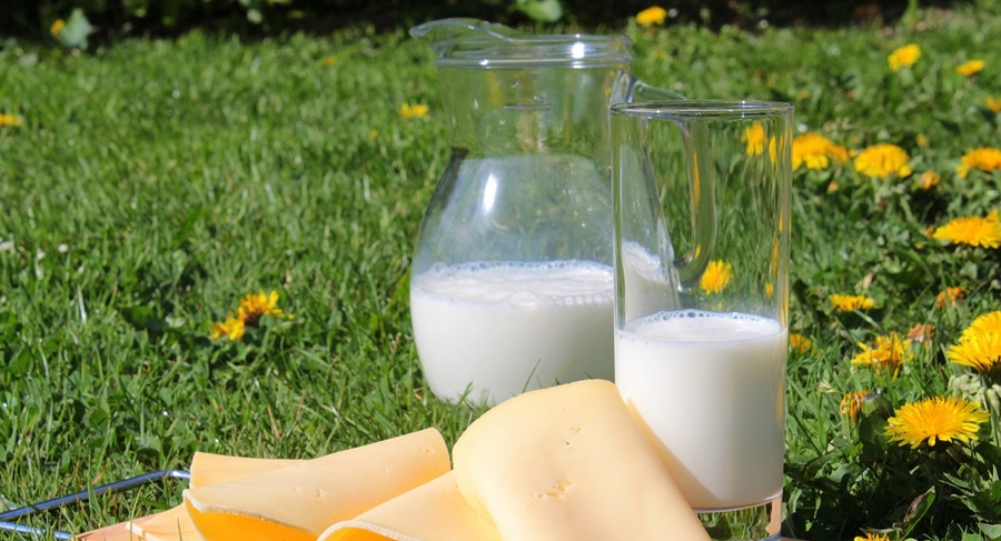 Deputatul Nicu Niță (PSD): „Reglementare clară în domeniul laptelui și al produselor lactate” | Se înființează Observatorul&nbsp;Laptelui