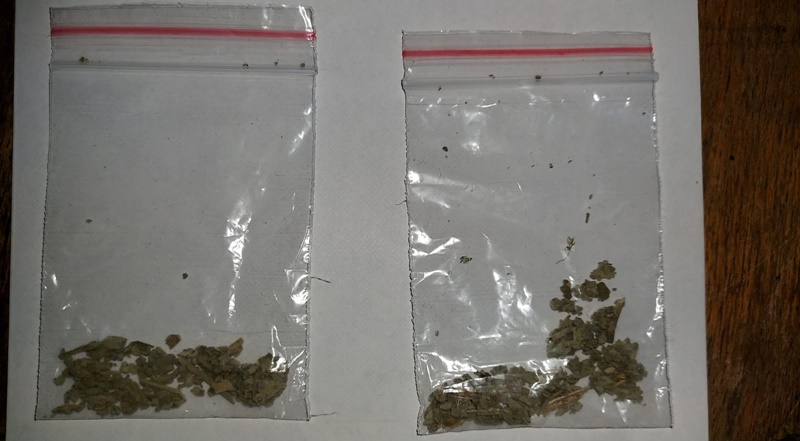 Dilema unui brăilean | Depistat cu substanțe vegetale asupra sa, acesta le-a declarat jandarmilor că nu știe cum au ajuns la el în&nbsp;portofel