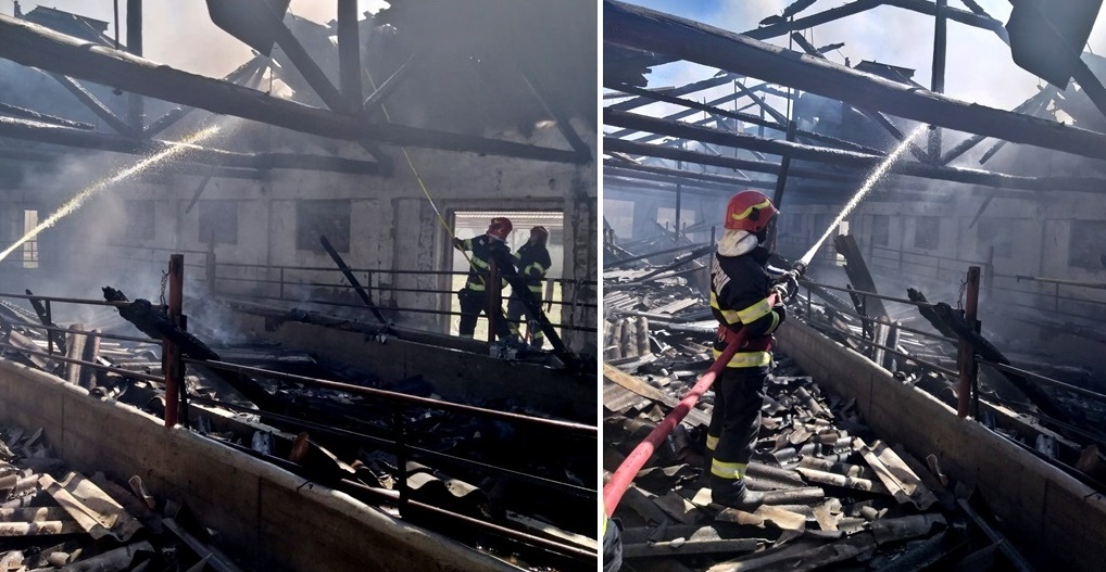 64 situații de urgență în care au intervenit prompt pompierii brăileni în minivacanța de 1 iunie și Rusaliile&nbsp;ortodoxe