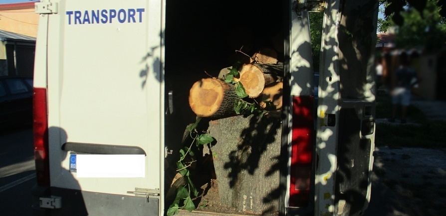 Au crezut că pot avea material lemnos fără să plătească, dar au avut de-a face cu oamenii&nbsp;legii