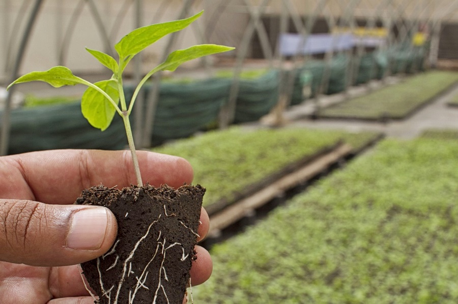 Fonduri disponibile pentru formarea profesională prin PS PAC 2027, începând din 20 noiembrie&nbsp;2023