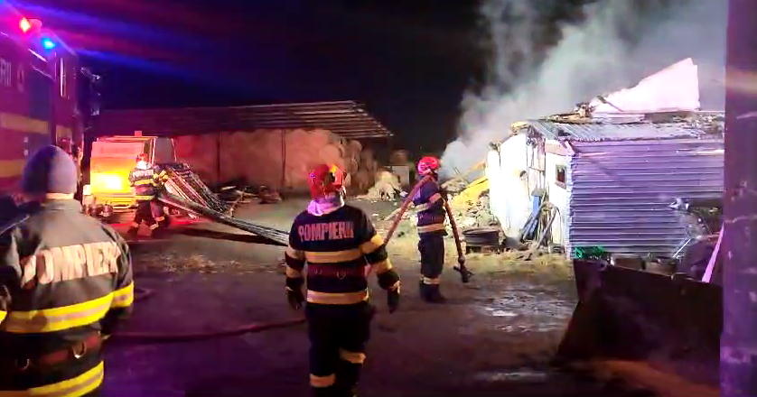 Incendiu de proporții la o fermă din Grădiștea, soldat cu o victimă rănită și 190 de animale arse de&nbsp;vii