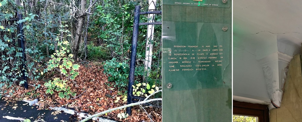 Liberalul Marius Mitescu atenționează necesitatea modernizării Secţiei de Ştiinţele Naturii a Muzeului Brăilei Carol&nbsp;I!