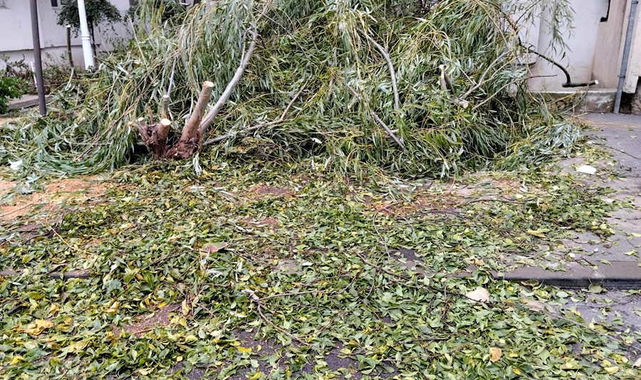 Viscolul de săptămâna trecută a creat o situație fără precedent în Brăila | Dragomir: “Lucrăm doar cu echipele de la Seroplant și nu angajăm societăți&nbsp;private”