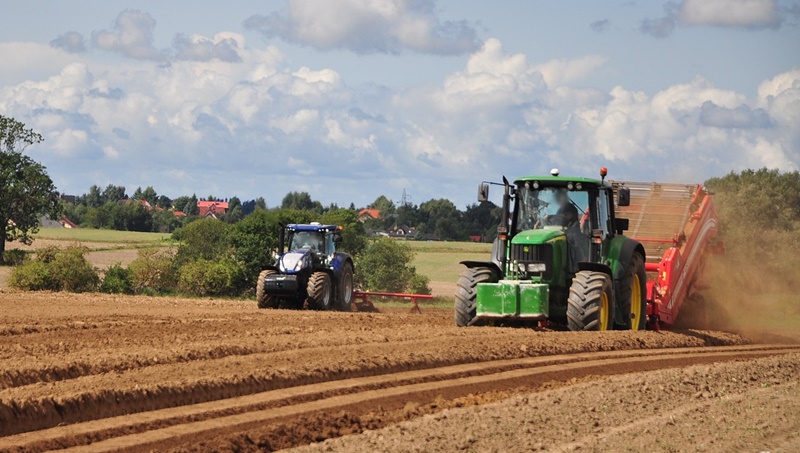 APIA a făcut public stadiul Campaniei de plăți în avans, aferentă anului 2024 | 619.751 fermieri autorizați la plată, cu suma de 854.874.337,79&nbsp;euro