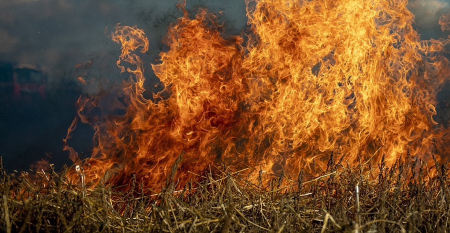 Fermierii au obligația respectării interdicției de a incendia miriștile și vegetaţia pajiştilor permanente, pentru a putea accesa plățile directe și fondurile de dezvoltare&nbsp;rurală