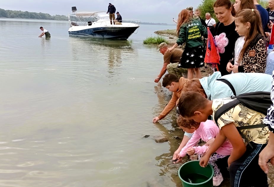 Institutul de Cercetare-Dezvoltare pentru Ecologie Acvatică, Pescuit și Acvacultură Galați a anunțat finalizarea populării fluviului Dunărea cu puiet de&nbsp;sturioni
