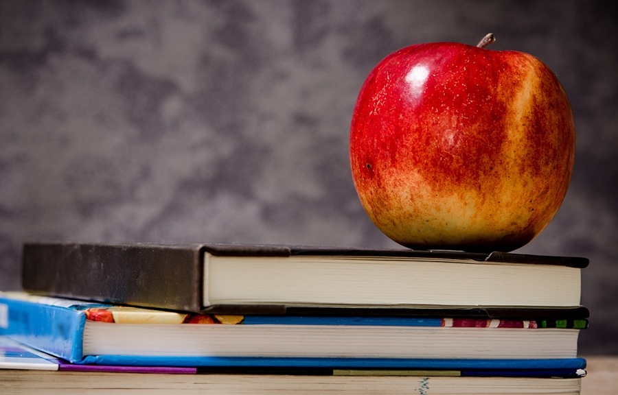 A fost aprobat bugetul pentru implementarea “Programului pentru şcoli al României” în anul şcolar&nbsp;2024-2025