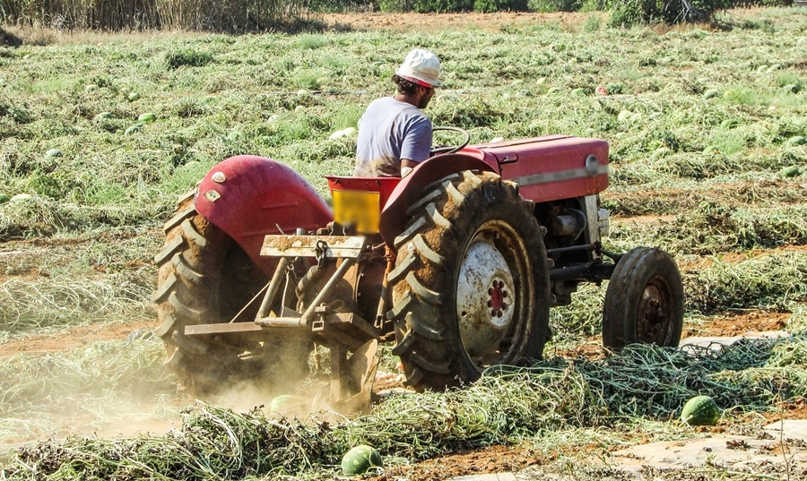 Tinerii fermieri sunt așteptați la APIA, să depună documentele doveditoare formării sau deținerii competențelor adecvate în domeniul agricol/&nbsp;agronomic