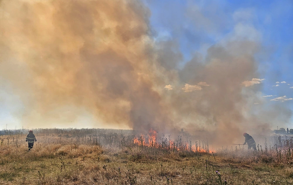 Canicula face ravagii în Județul Brăila, pompierii acționând, 24 de ore din 24, pentru stingerea&nbsp;incendiilor